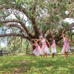 Dancers help celebrate the tree-naming ceremony on East Campus.“Serenitree” was the name chosen by popular vote for the 100-year-old live oak that has become a historic landmark.