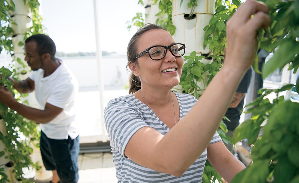 Valencia student Kelly Edwards checks basil plants for signs of pests or disease.