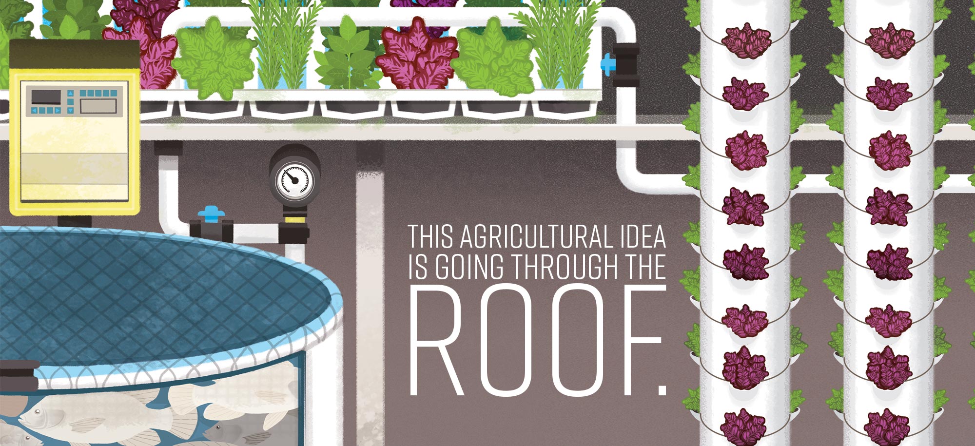 This Agricultural Idea is Going Through the Roof