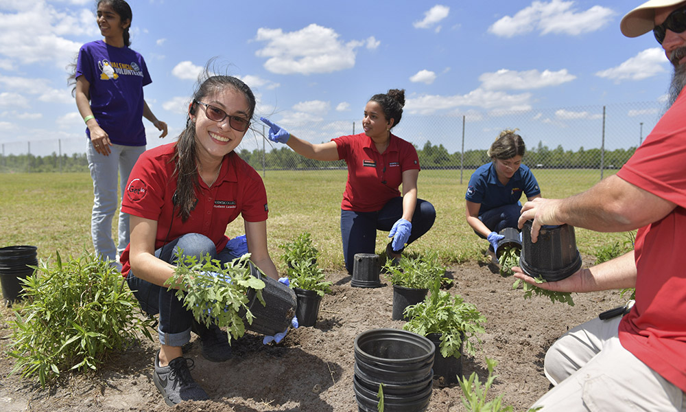 Students planted flowers and butterfly-friendly plants